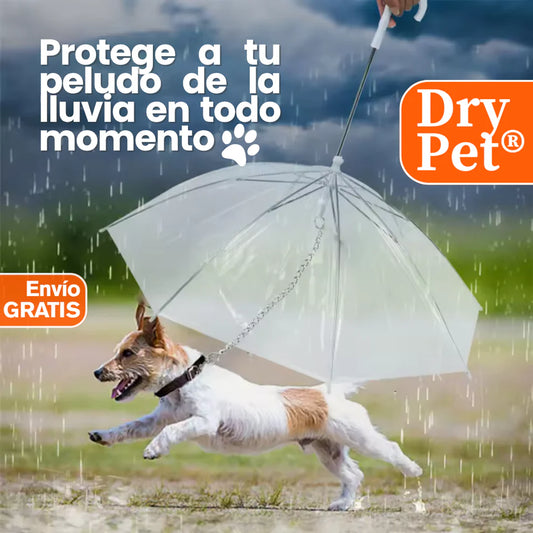 DryPet®: La sombrilla ideal para tu peludito